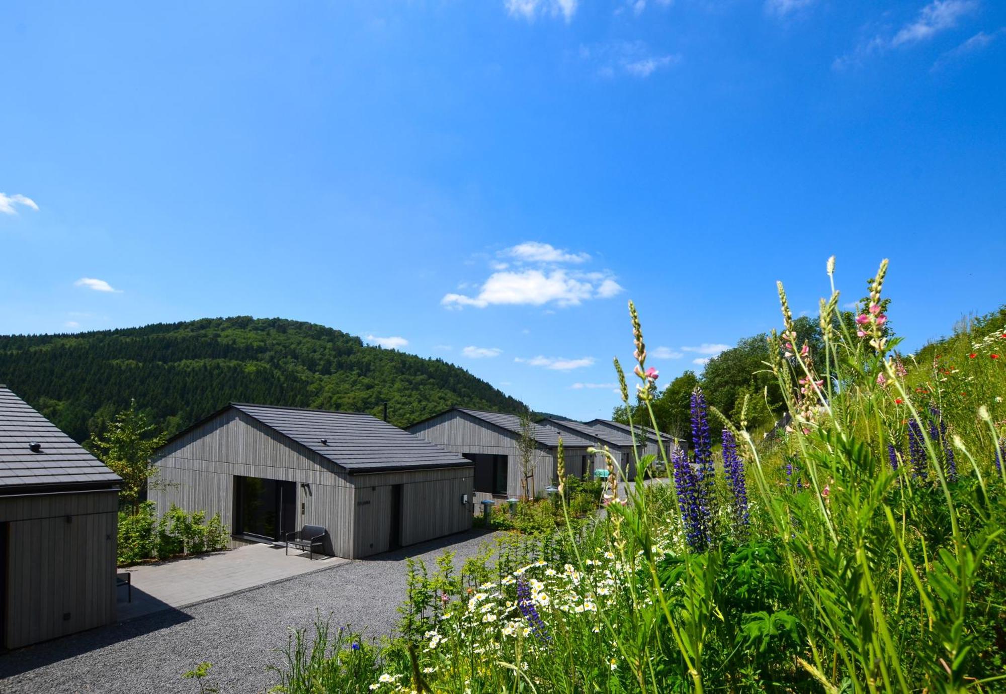 Sauerland Lodge - Haus Julius Βίντερμπεργκ Εξωτερικό φωτογραφία