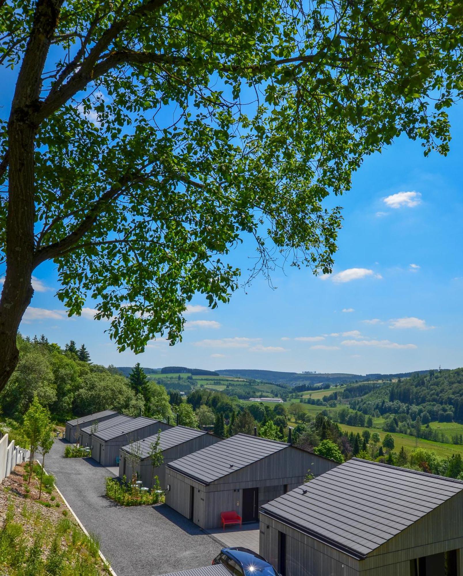 Sauerland Lodge - Haus Julius Βίντερμπεργκ Εξωτερικό φωτογραφία